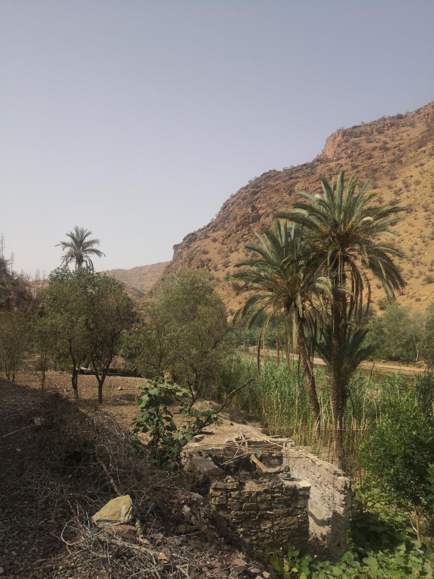 Auberge Kasbah Amoun Taliouine Eksteriør bilde